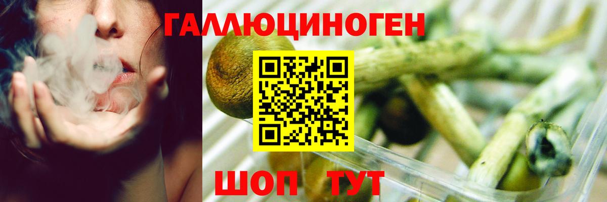купить наркотики цена  Вход с VPN  Псилоцибиновые грибы Magic Shrooms  Выкса  Псилоцибиновые грибы мицелий 
